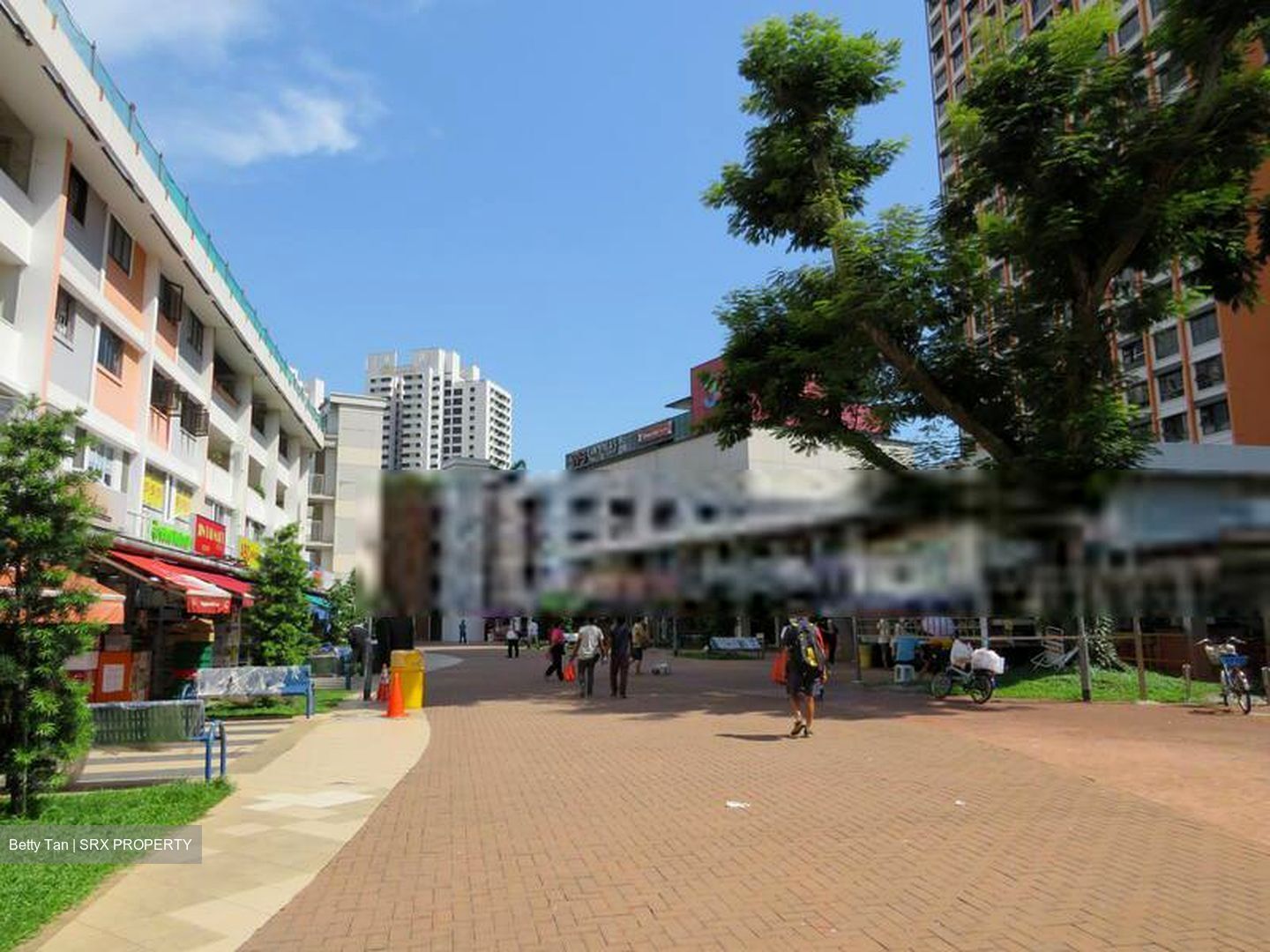 443 CLEMENTI AVENUE 3 (D5), Shop House #500360571